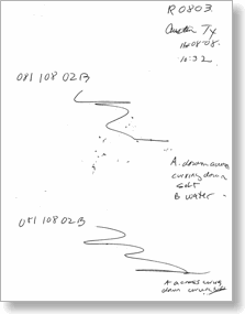 Transcript