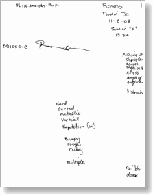 Transcript